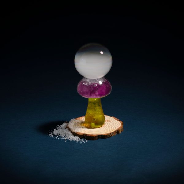 SCastillo_Somewhere_SBN_AliceWonder02542_Mushroom_v3